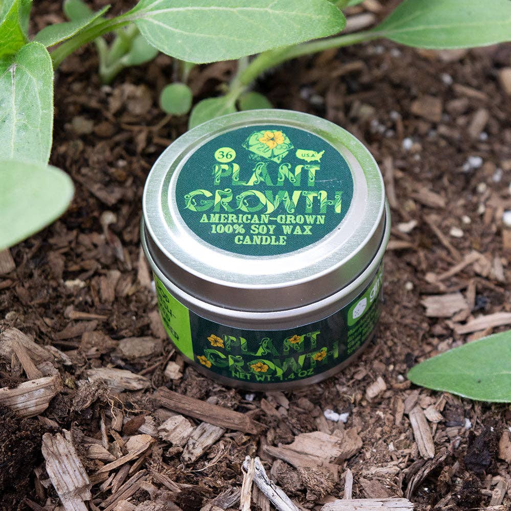 Plant Growth Candle